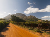 Zorgvliet Wine Estate, Stellenbosch, Cape Province, South Africa, Africa