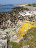 West Coast, Bryher, Isles of Scilly, United Kingdom, Europe