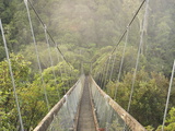 Swingbridge, Motu Falls, Motu, Gisborne, North Island, New Zealand, Pacific