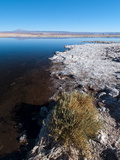 Buy Laguna Tebenquiche, Salar De Atacama, Atacama Desert, Chile, South America at AllPosters.com