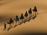 Camel Caravan Riding Through the Sand Dunes of Merzouga, Morocco, North Africa, Africa