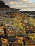 Lichen Covered Rocks, Shore at Greens Beach, Tasmania, Australia, Pacific