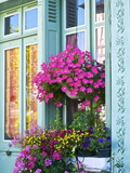 Window With Flowers, France, Europe