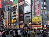 Neon Signs Light Up the Kabukicho Entertainment District in Shinjuku, Tokyo, Japan, Asia