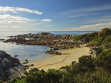 Beach at St. Helens Conservation Area, St. Helens, Tasmania, Australia, Pacific