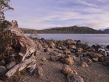 Shore of Lake St. Clair, Cradle Mountain-Lake St. Clair National Park, Tasmania, Australia
