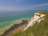 Beachy Head Lighthouse, White Chalk Cliffs, Poppies and English Channel, East Sussex, England, Uk