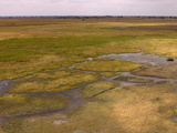 Helicopter Flight Over Busanga Plains, Kafue National Park, Zambia, Africa Photographic Print