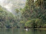 Loboc River, Bohol, Philippines, Southeast Asia, Asia