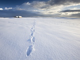 Footsteps in Freshly-Fallen Snow Leading Off Into Distance Towards Dramatic Winter Sky, England