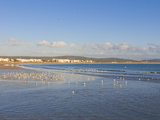 The Beach of the Coastal City of Essaouira, Morocco, North Africa, Africa