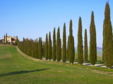 Buy Val D'Orcia, Siena Province, Siena, Tuscany, Italy, Europe at AllPosters.com
