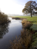 River Culm, Culm Valley, Devon, England, United Kingdom, Europe