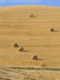 Buy Hay Bales, Val D'Orcia, Siena Province, Tuscany, Italy, Europe at AllPosters.com