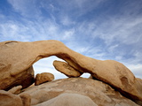 Buy The Arch at White Tank Campground, Joshua Tree National Park, California at AllPosters.com