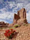 Rock Formation and Common Paintbrush (Castilleja Chromosa), Arches National Park, Utah, USA