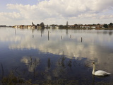 Buy The Harbour, Bosham, Near Chichester, West Sussex, England, United Kingdom, Europe at AllPosters.com