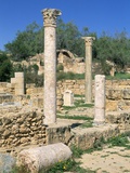 Leptis Magna, UNESCO World Heritage Site, Tripolitania, Libya, North Africa, Africa