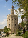 Torre Del Oro, Seville, Andalucia, Spain, Europe