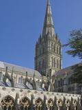 Buy Salisbury Cathedral, Wiltshire, England, United Kingdom, Europe at AllPosters.com