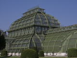 Buy Palm House, Schonbrunn Palace Gardens, UNESCO World Heritage Site, Vienna, Austria, Europe at AllPosters.com