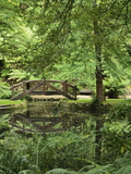 Alfred Nicholas Gardens, Dandenong Ranges National Park, Dandenong Ranges, Victoria, Australia
