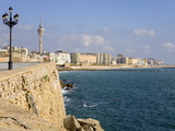 Buy Campo Del Sur, Cadiz, Andalusia, Spain, Europe at AllPosters.com