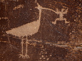 Buy Bird Petroglyph, Petrified Forest National Park, Arizona, United States of America, North America at AllPosters.com