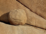 Buy Boulder and Cracks, Joshua Tree National Park, California, United States of America, North America at AllPosters.com