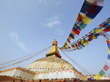 Buy Pigeons and Prayer Flags on Boudha Stupa (Chorten Chempo), Boudhanath, Kathmandu, Nepal, Asia at AllPosters.com