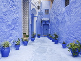 Blue Painted Alley Lined With Flower Pots Leading to Doorway, Chefchaouen, Morocco, North Africa Fotografie-Druck