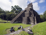 Turkeys at a Pyramid in the Mayan Ruins of Tikal, UNESCO World Heritage Site, Guatemala