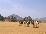 Camel Caravan, Akakus, Sahara Desert, Fezzan, Libya, North Africa, Africa