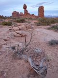 Balanced Rock at Dusk, Arches National Park, Utah, USA