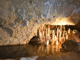 Buy Harrison's Cave, Barbados, Windward Islands, West Indies, Caribbean, Central America at AllPosters.com