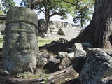 Sculpted Head Stone at Mayan Archeological Site, Copan Ruins, UNESCO World Heritage Site, Honduras