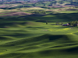 Buy Spring in the Palouse, From Steptoe Butte, Washington State, USA at AllPosters.com