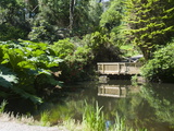 Buy Botanical Gardens at Kells, Ring of Kerry, County Kerry, Munster, Republic of Ireland, Europe at AllPosters.com