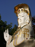 Buy Kuan Yin, Goddess of Mercy, Hong Kong, China, Asia at AllPosters.com