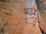 Rock Art, Rhinos, Tsodilo Hills, Ngamiland, Botswana, Africa.