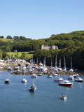 Watermouth Harbour, Devon, England, United Kingdom, Europe