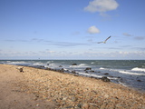 Montauk Point State Park, Montauk, Long Island, New York, United States of America, North America