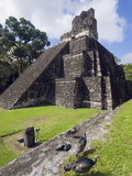 Turkeys at a Pyramid in the Mayan Ruins of Tikal, UNESCO World Heritage Site, Guatemala