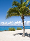 Beach at Chankanaab Park, Isla De Cozumel, Cozumel, Off the Yucatan, Mexico
