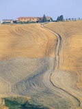 Buy Crete Senesi, Siena Province, Tuscany, Italy, Europe at AllPosters.com