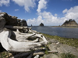 Buy La Push, Olympic Peninsula, Washington State, USA at AllPosters.com