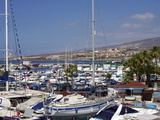 Puerto Colon, Playa De Las Americas, Tenerife, Canary Islands, Spain, Atlantic, Europe