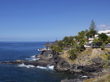 El Jupado, Playa De Las Americas, Tenerife, Canary Islands, Spain, Atlantic, Europe