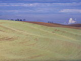 Buy Genesee Grain Silo, Palouse, Idaho, USA at AllPosters.com