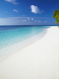 Buy Tropical Island and Lagoon, Ari Atoll, Maldives, Indian Ocean, Asia at AllPosters.com